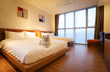 room